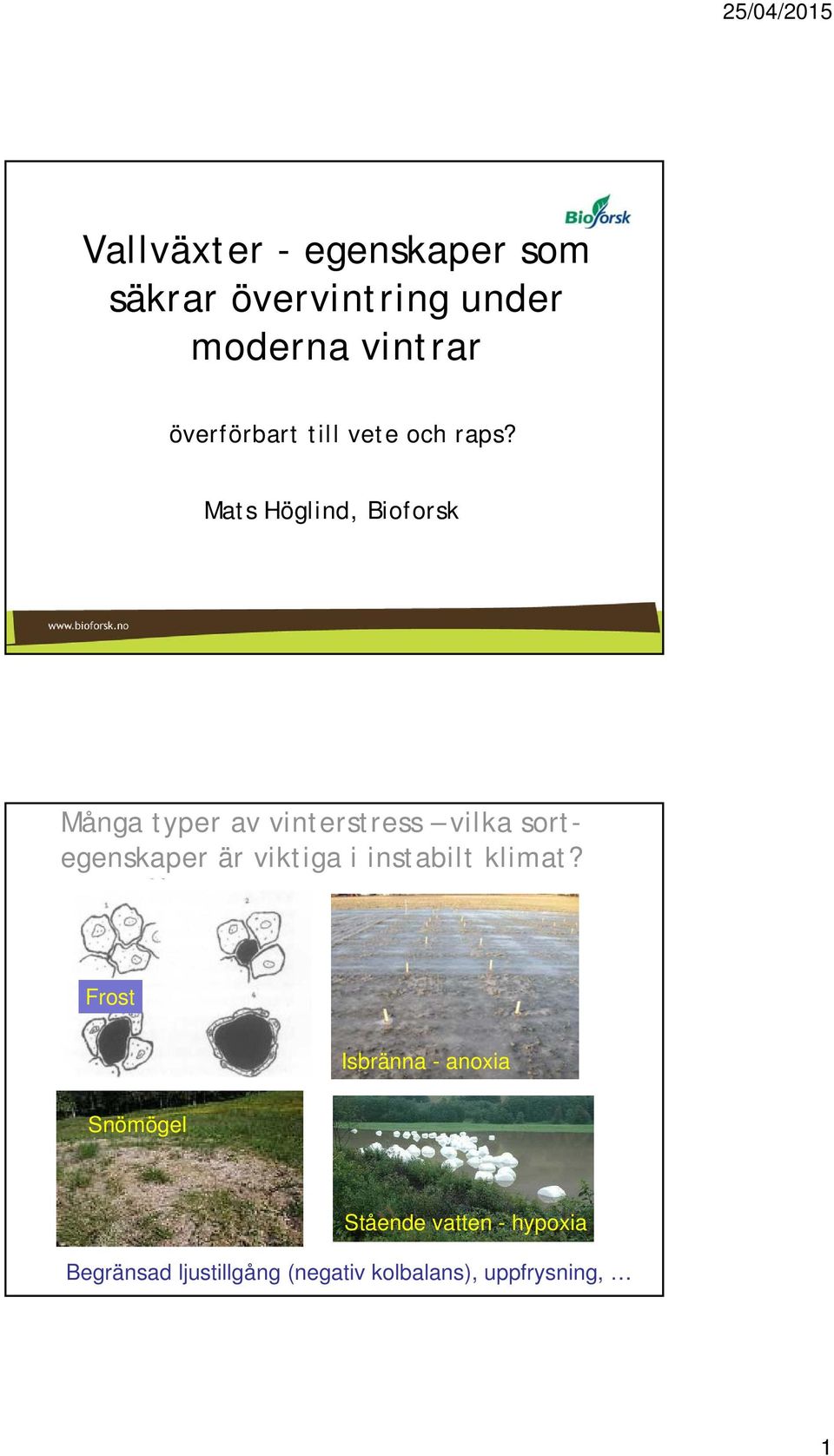 Mats Höglind, Bioforsk Många typer av vinterstress vilka sortegenskaper är