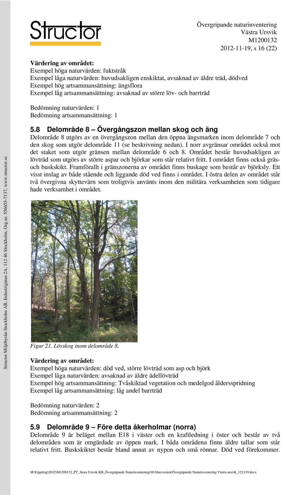 8 Delområde 8 Övergångszon mellan skog och äng Delområde 8 utgörs av en övergångszon mellan den öppna ängsmarken inom delområde 7 och den skog som utgör delområde 11 (se beskrivning nedan).