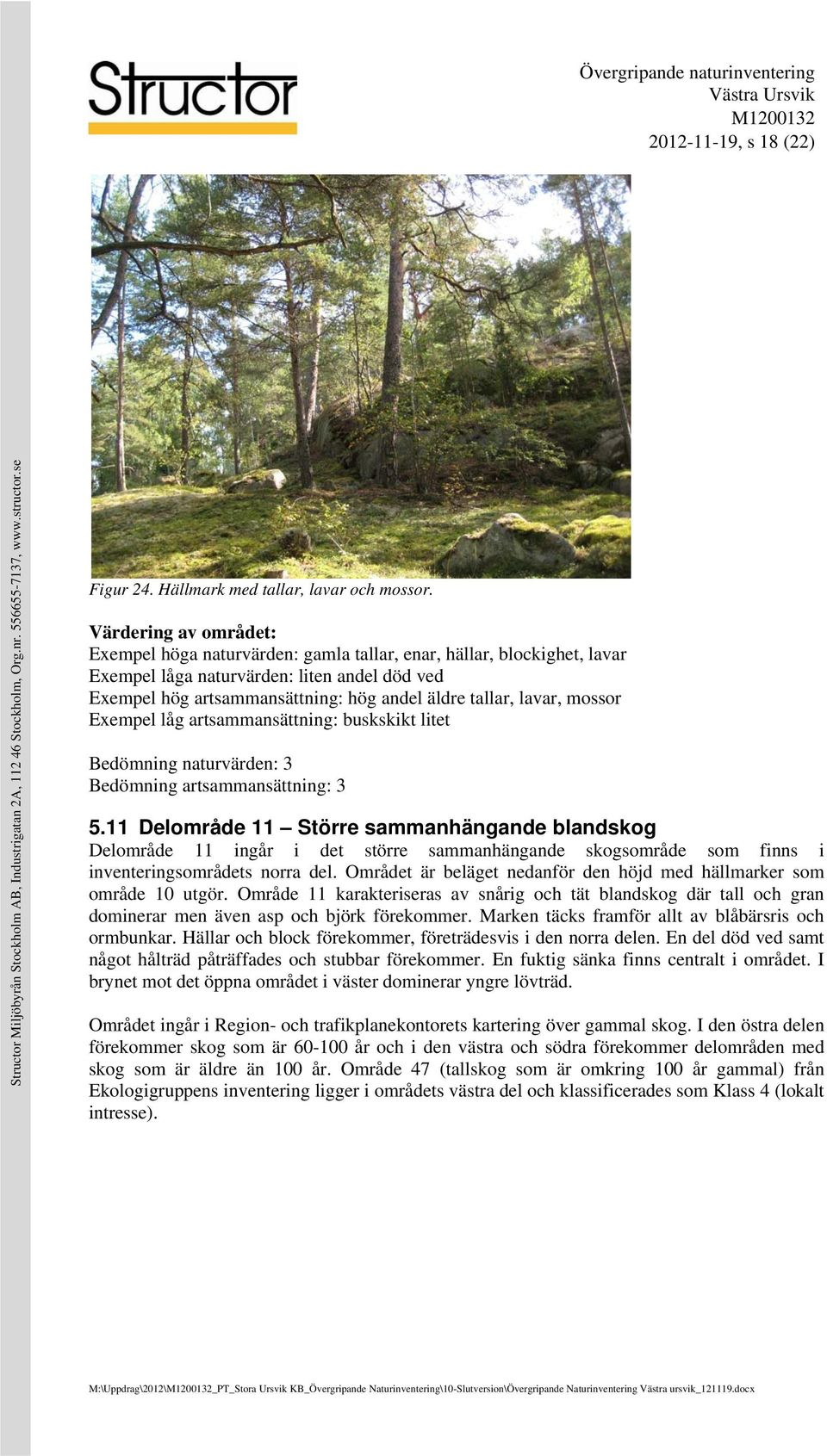 lavar, mossor Exempel låg artsammansättning: buskskikt litet Bedömning naturvärden: 3 Bedömning artsammansättning: 3 5.