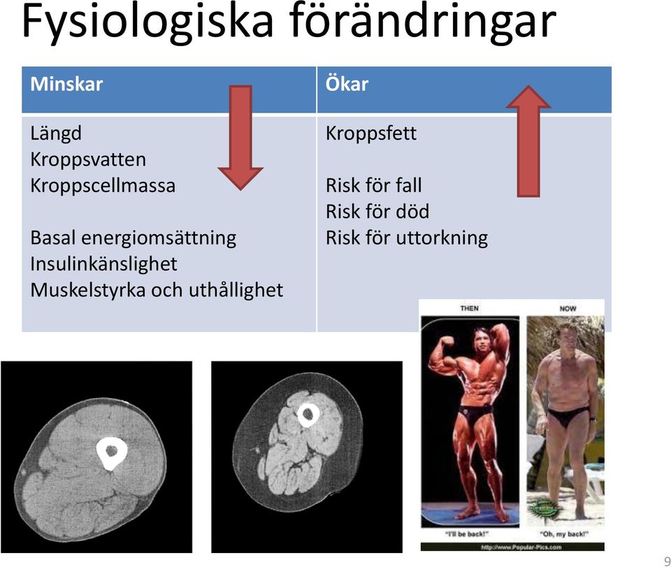 energiomsättning Insulinkänslighet Muskelstyrka