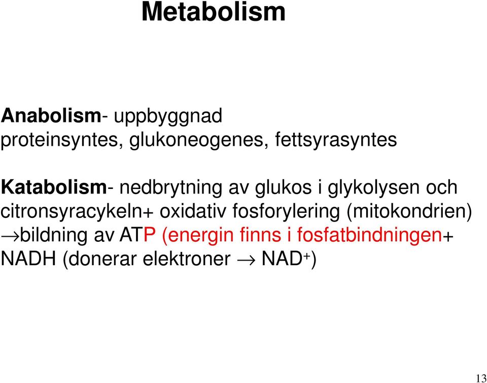 citronsyracykeln+ oxidativ fosforylering (mitokondrien) bildning av