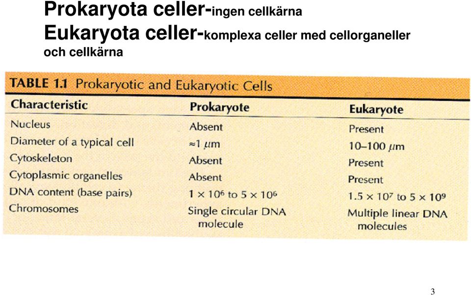 celler-komplexa celler