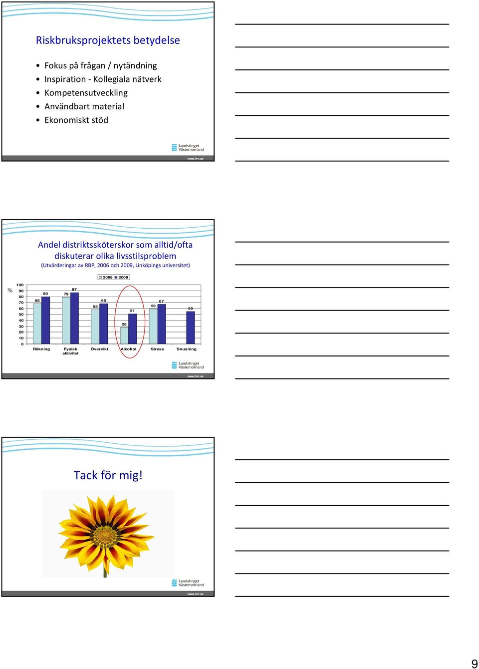 olika livsstilsproblem (Utvärderingar av RBP, 2006 och 2009, Linköpings universitet) 2006 2009 % 100 90 80