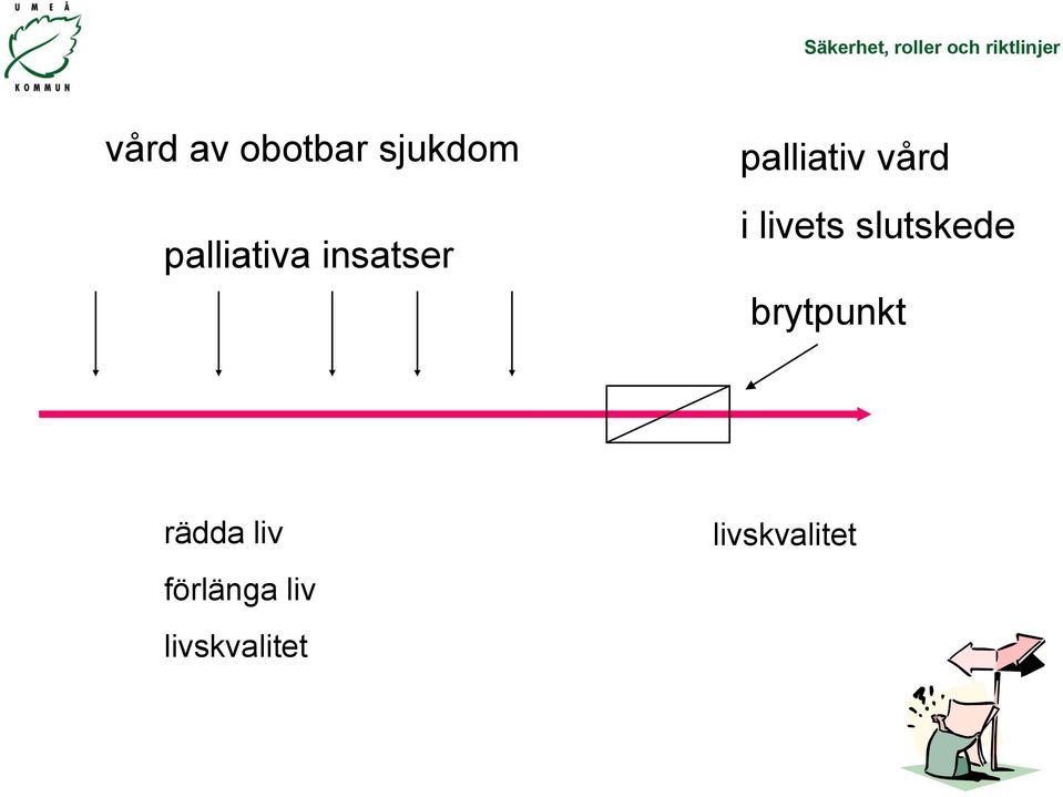 vård i livets slutskede brytpunkt