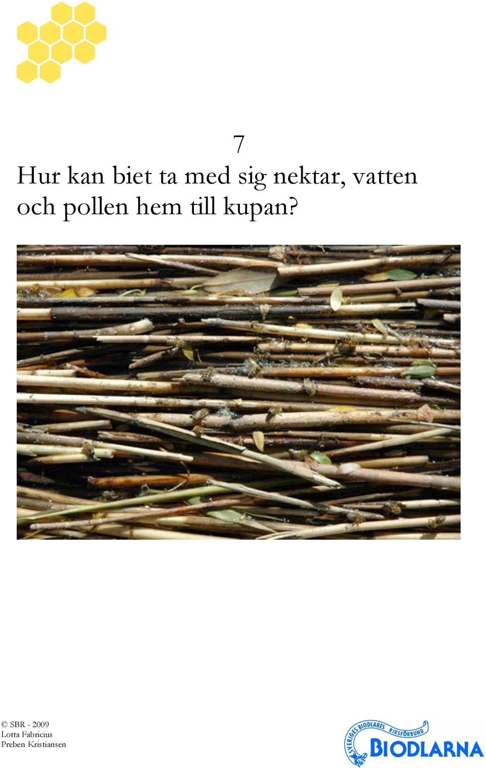 nektar, vatten