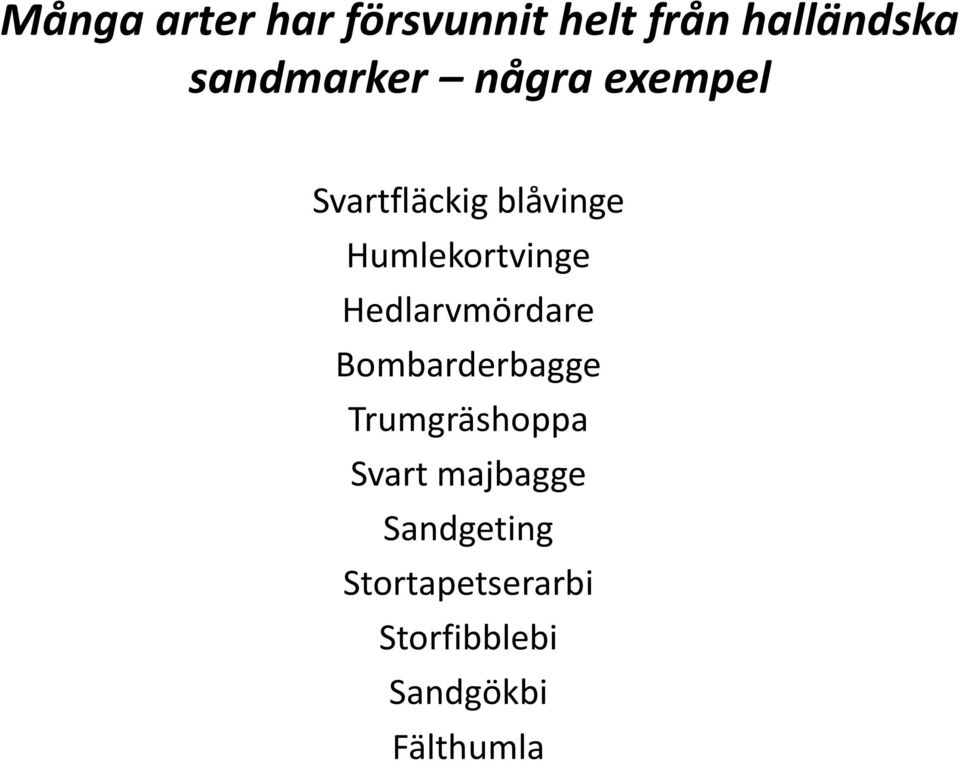 Humlekortvinge Hedlarvmördare Bombarderbagge