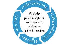 Tidig arbetslivsinriktad rehabilitering Hälsosamma Arbetsplatser Den Goda