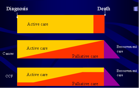 Adapted from Gibbs 2002 Old model Curative care