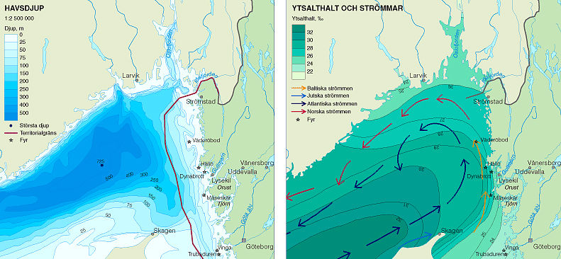 HYDROGRAFI 3 HYDROGRAFI De hydrografiska förhållandena vid Sveriges västkust är specifika i det avseendet att vattnet har en påtaglig skiktning i ett yt- och ett bottenvatten, beroende på skillnader