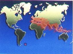 Epidemiologi medelhavet, mindre