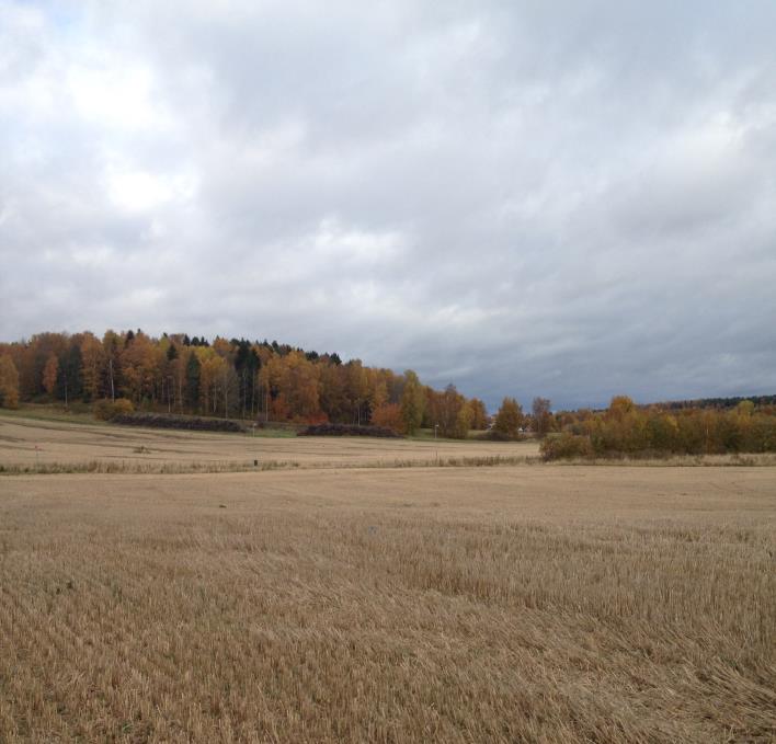 PM Radonundersökning Väppeby