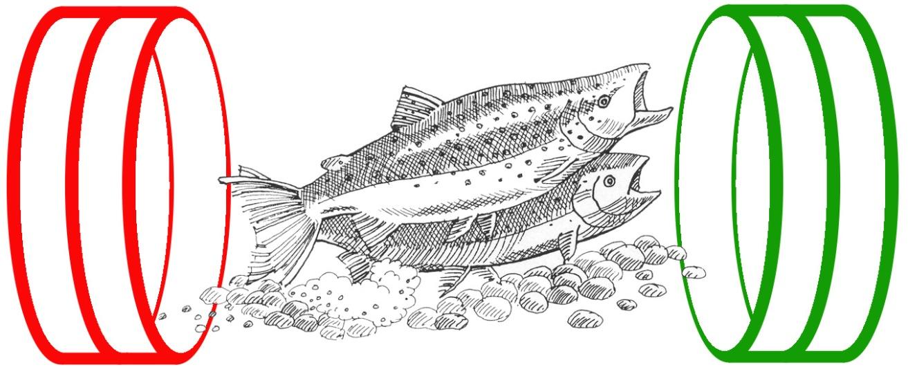 2009-11-30 1 Rapport rörande vikbara trösklar i trummor för fiskvandring - exemplet Stampebäcken