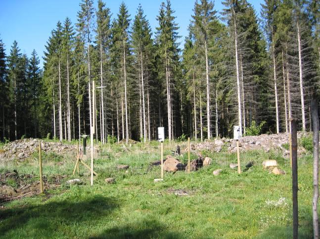 2.1. Sännen Foto över mätstationen Sännen Koordinater: X: 6243000 Y: 1472000 Zon: Lokaltyp, kategori: Beskrivning av mätplatsen Kustzon Låglänt (flyttad från Kustnära) Öppning i skogen ca 100*50 m.