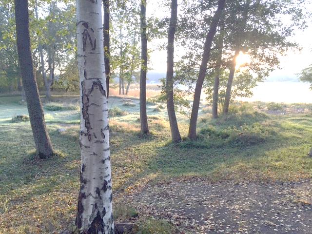 Vi kommer tillsammans att promenera, stavgå och springa virtuellt runt Östersjön.