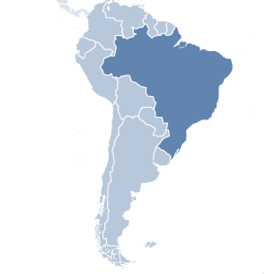 VALUTABEVIS BRASILEN För att bekämpa inflationen har den brasilianska centralbanken höjt räntan nio gånger sedan april 2013. Det har medfört att internationella investerare har stannat kvar.