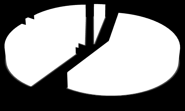 53,2% 19,4% 1,6% Väldigt mycket Mycket Lite Inte alls 25,8% Figur 2.