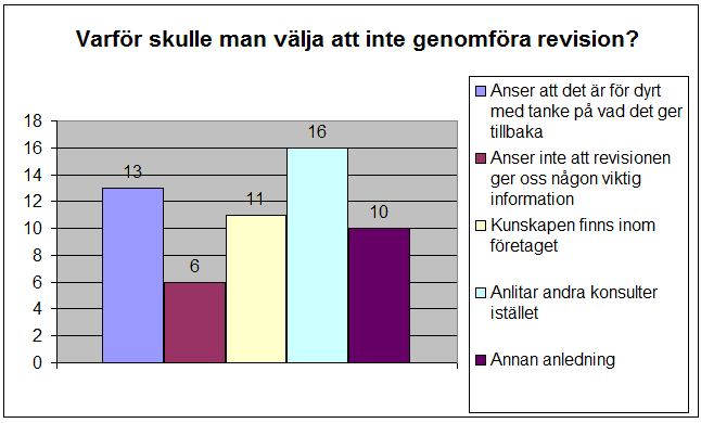 om företagets situation när man läste revisionen och om att arbetet med revisionen ledde till att enklare fel avhjälptes och nya rutiner utarbetades.