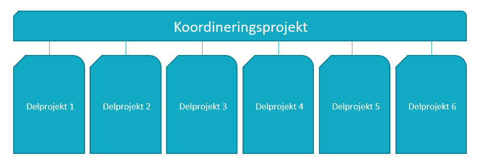 4 (14) Figur 1. Schematisk bild på ett innovationsprojekt som består av ett koordinerande projekt och ett antal delprojekt.
