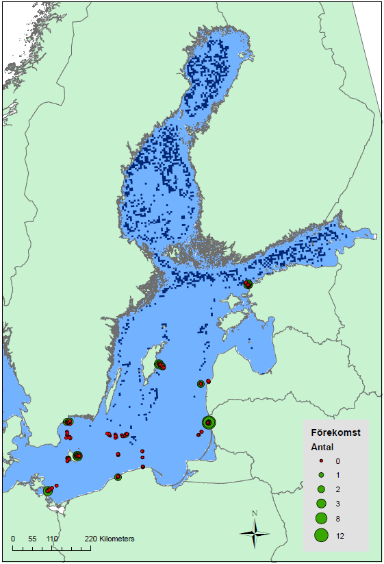 Figur 6. Kartprojektion baserad på de partiella responskurvorna för slutgiltiga prediktionsvariablerna bottentemperatur, lutning och salinitet från modell 6.