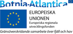 Åtgärdsplan för anläggande av