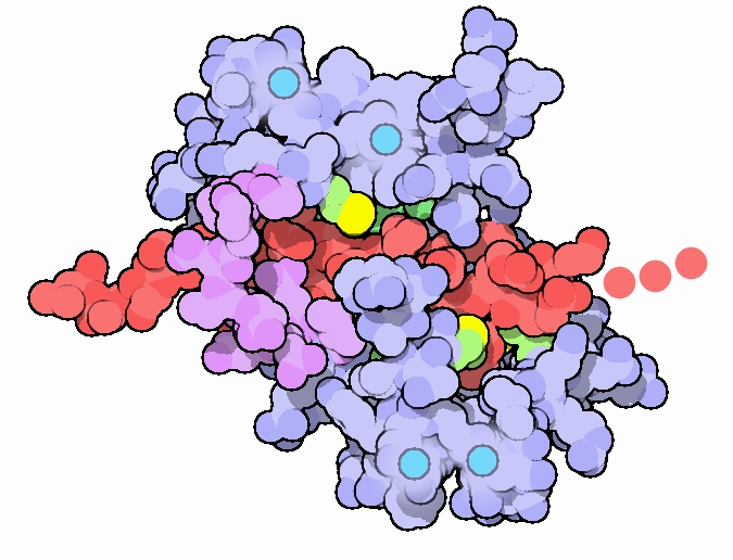 Jämförelse Gelfiltrering PAGE SDS-PAGE Calmodulin PDB molecule of the month Aug 2003 http://www.rcsb.org/pdb/101/motm.do?