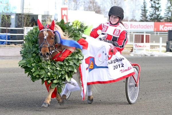 8 Stjärn Scot kommer med en seger i bagaget och lär vara vinstsugen även idag.