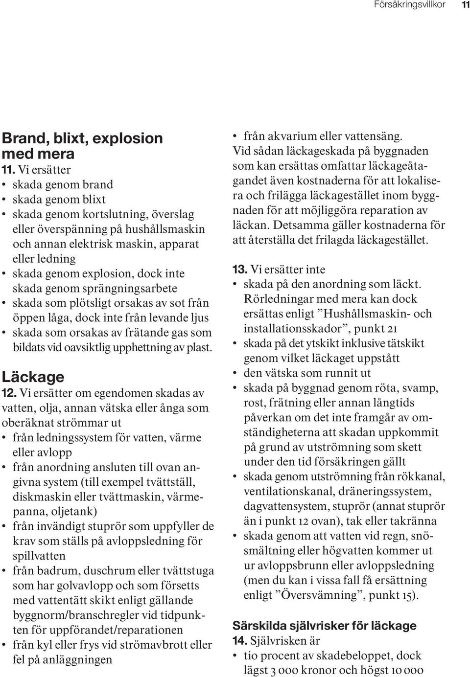 inte skada genom sprängningsarbete skada som plötsligt orsakas av sot från öppen låga, dock inte från levande ljus skada som orsakas av frätande gas som bildats vid oavsiktlig upphettning av plast.