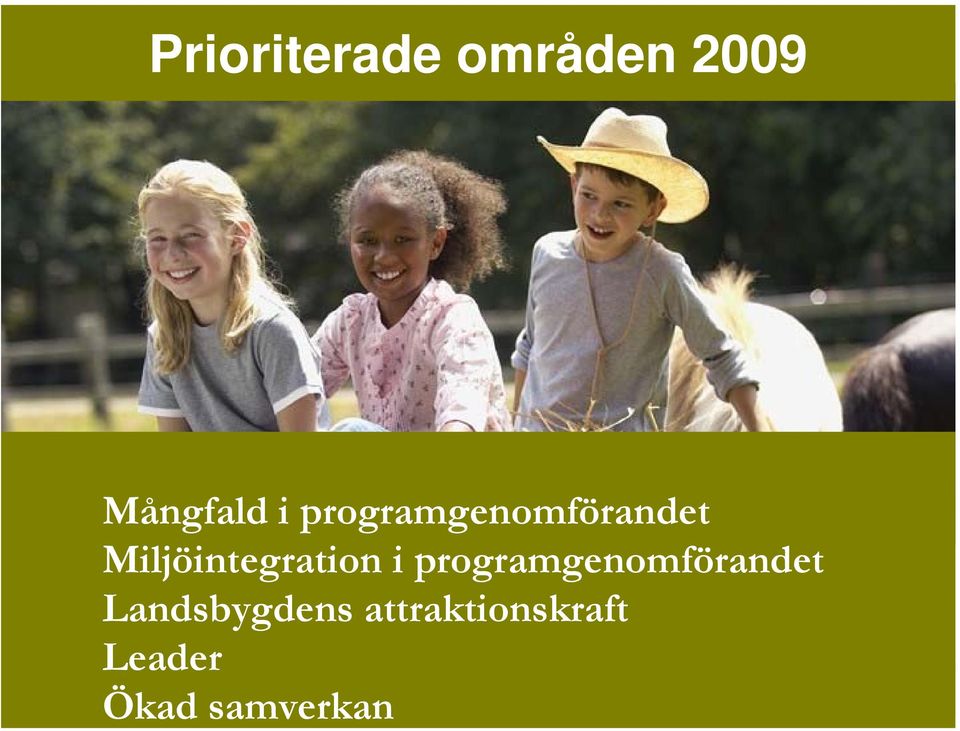 i programgenomförandet Landsbygdens