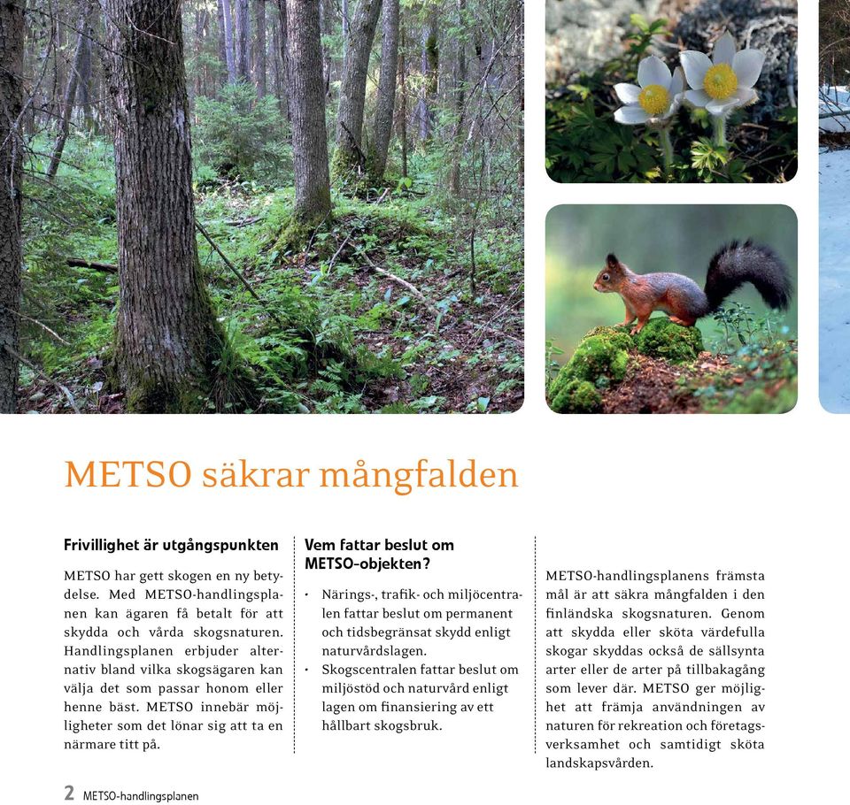 2 METSO-handlingsplanen Vem fattar beslut om METSO-objekten? Närings-, trafik- och miljöcentralen fattar beslut om permanent och tidsbegränsat skydd enligt naturvårdslagen.