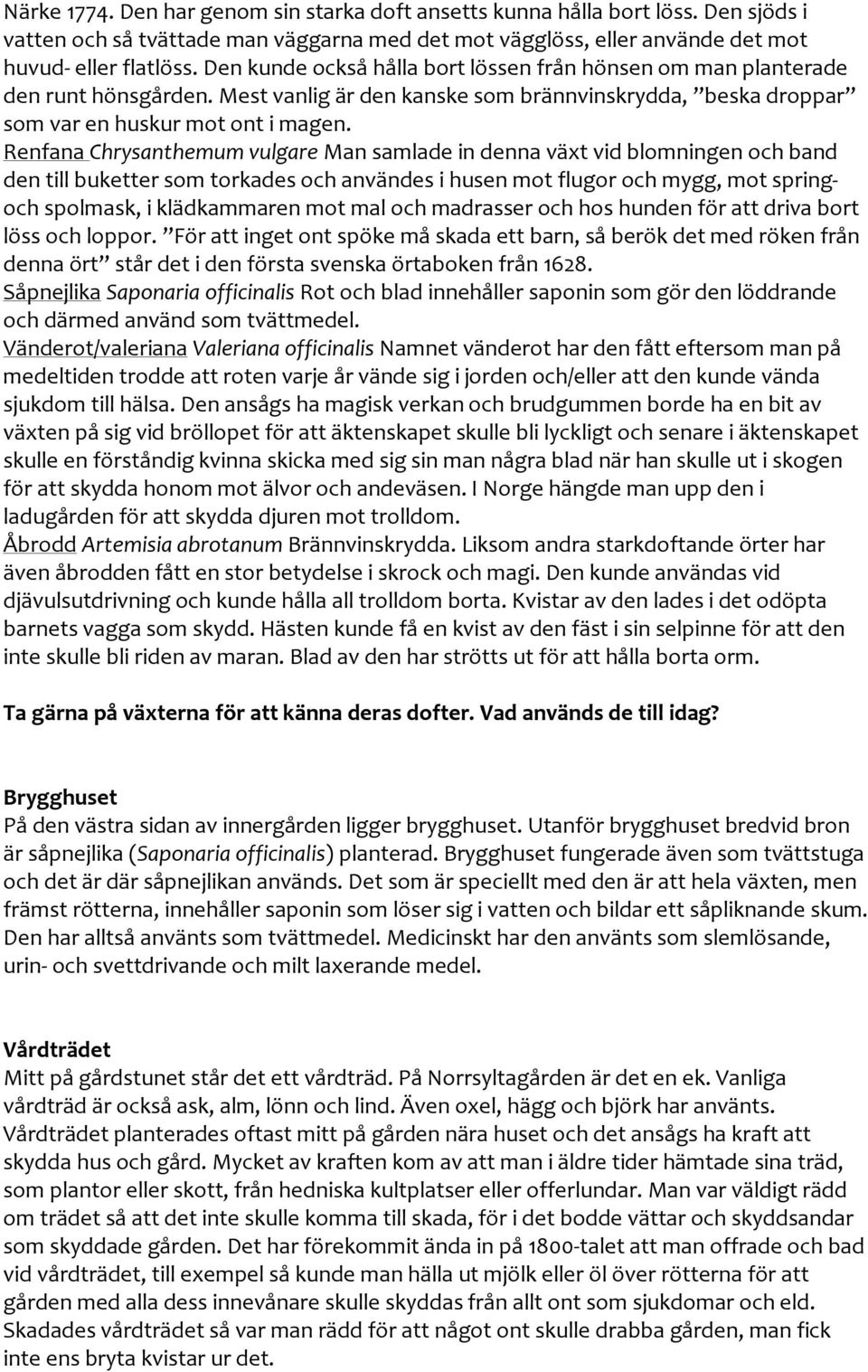 Renfana Chrysanthemum vulgare Man samlade in denna växt vid blomningen och band den till buketter som torkades och användes i husen mot flugor och mygg, mot springoch spolmask, i klädkammaren mot mal