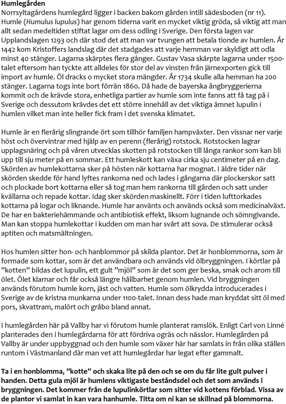 Den första lagen var Upplandslagen 1293 och där stod det att man var tvungen att betala tionde av humlen.