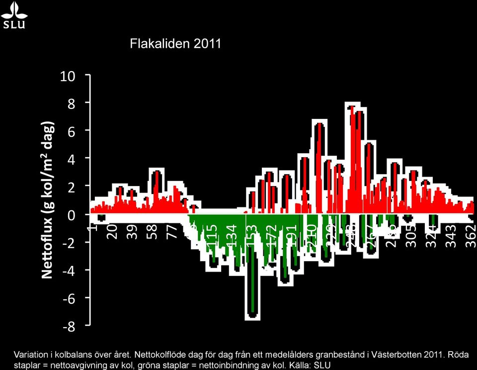 året. Nettokolflöde dag för dag från ett medelålders granbestånd i Västerbotten 2011.