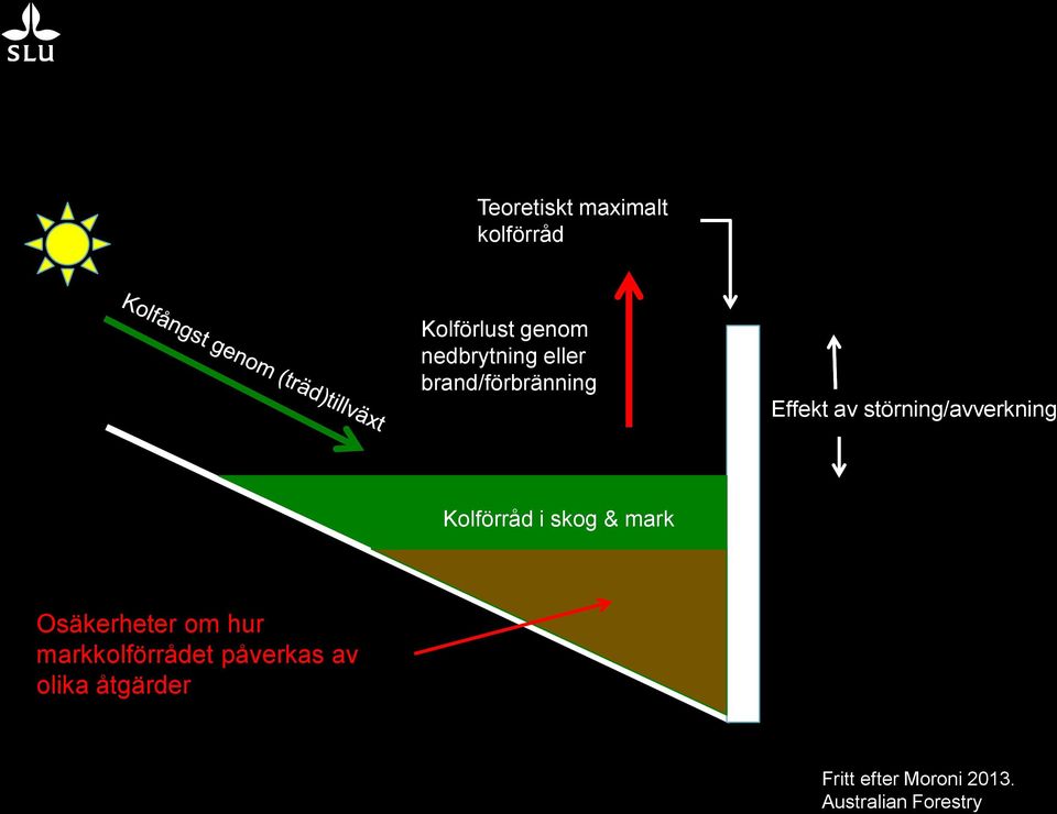 Kolförråd i skog & mark Osäkerheter om hur markkolförrådet