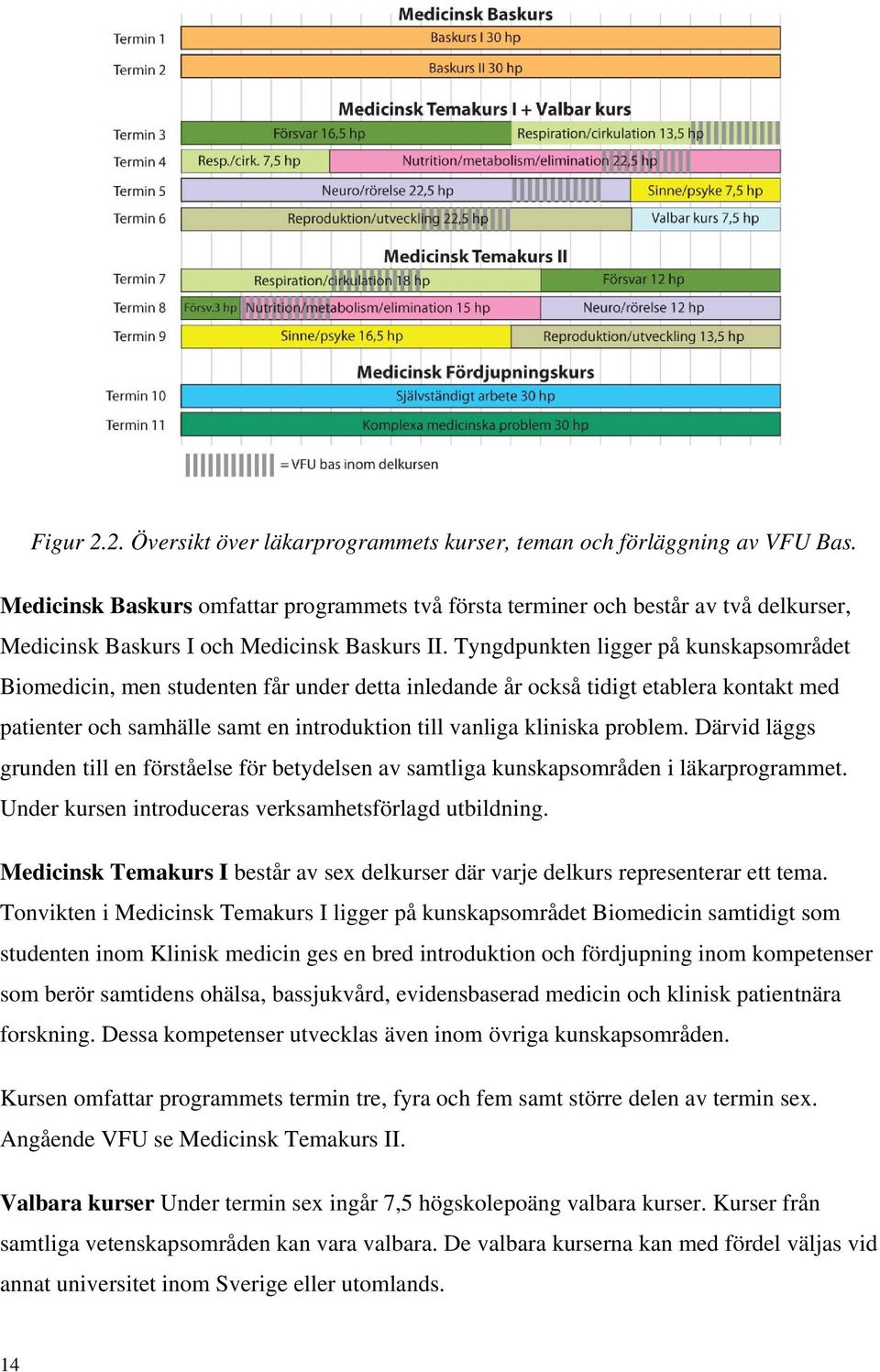 Tyngdpunkten ligger på kunskapsområdet Biomedicin, men studenten får under detta inledande år också tidigt etablera kontakt med patienter och samhälle samt en introduktion till vanliga kliniska