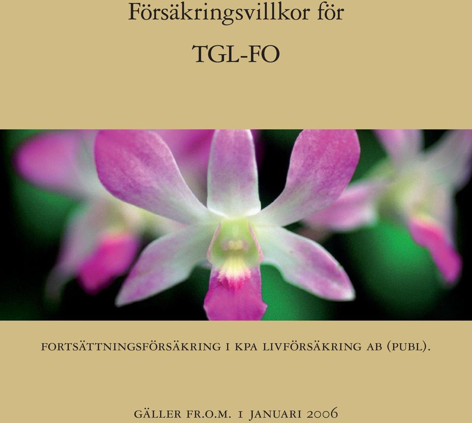 fortsättningsförsäkring i