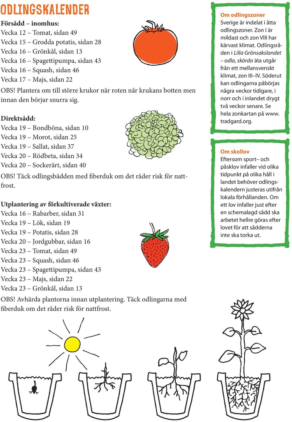 Direktsådd: Vecka 19 Bondböna, sidan 10 Vecka 19 Morot, sidan 25 Vecka 19 Sallat, sidan 37 Vecka 20 Rödbeta, sidan 34 Vecka 20 Sockerärt, sidan 40 OBS!