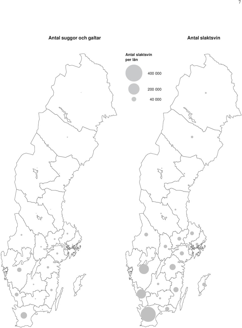 per län Antal suggor