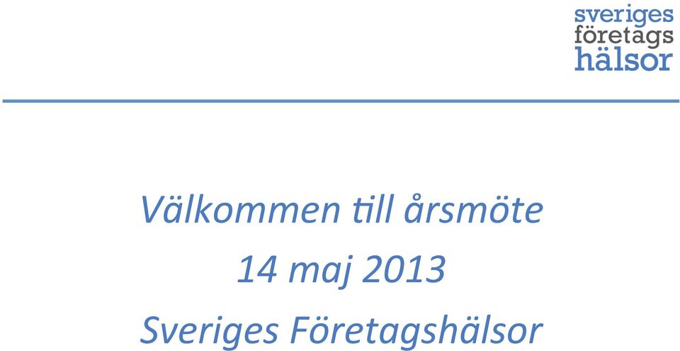 2013 Sveriges