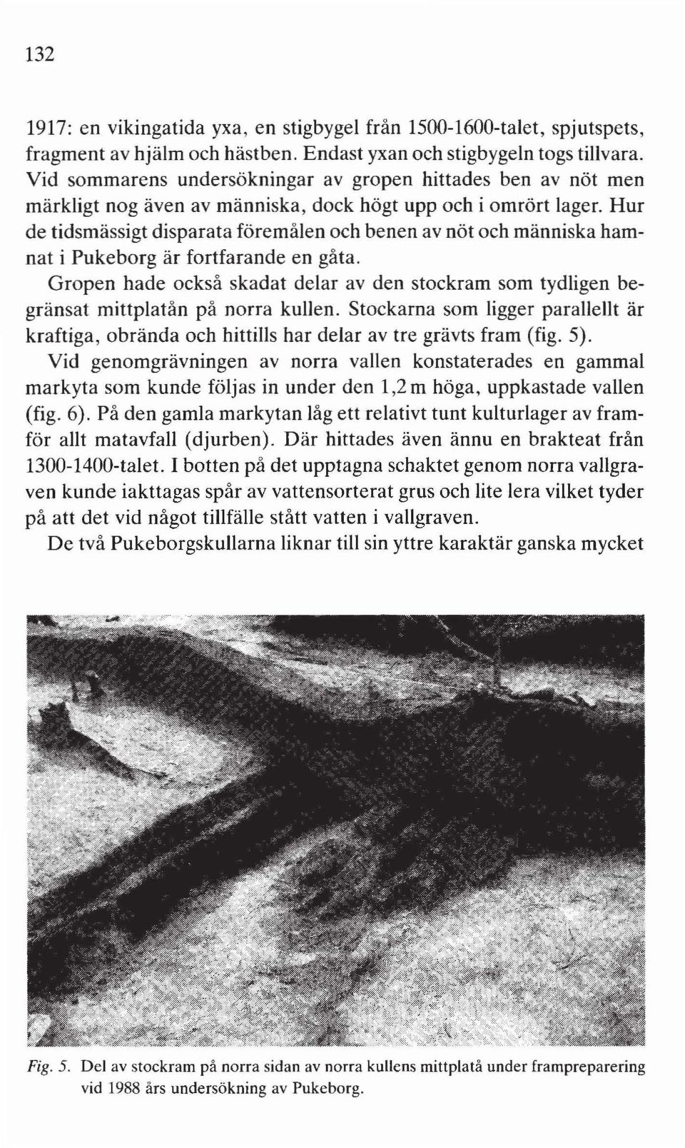 Hur de tidsmässigt disparata föremålen och benen av nöt och människa hamnat i Pukeborg är fortfarande en gåta.