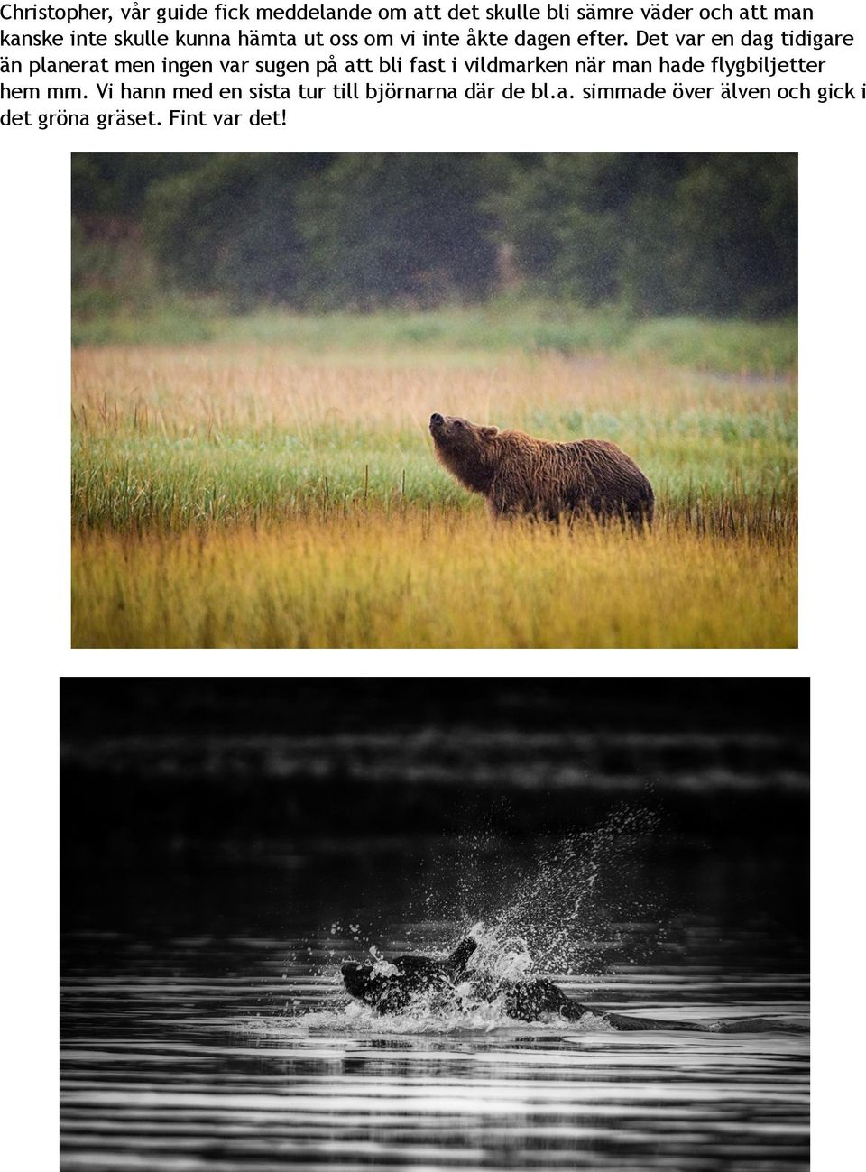 Det var en dag tidigare än planerat men ingen var sugen på att bli fast i vildmarken när man