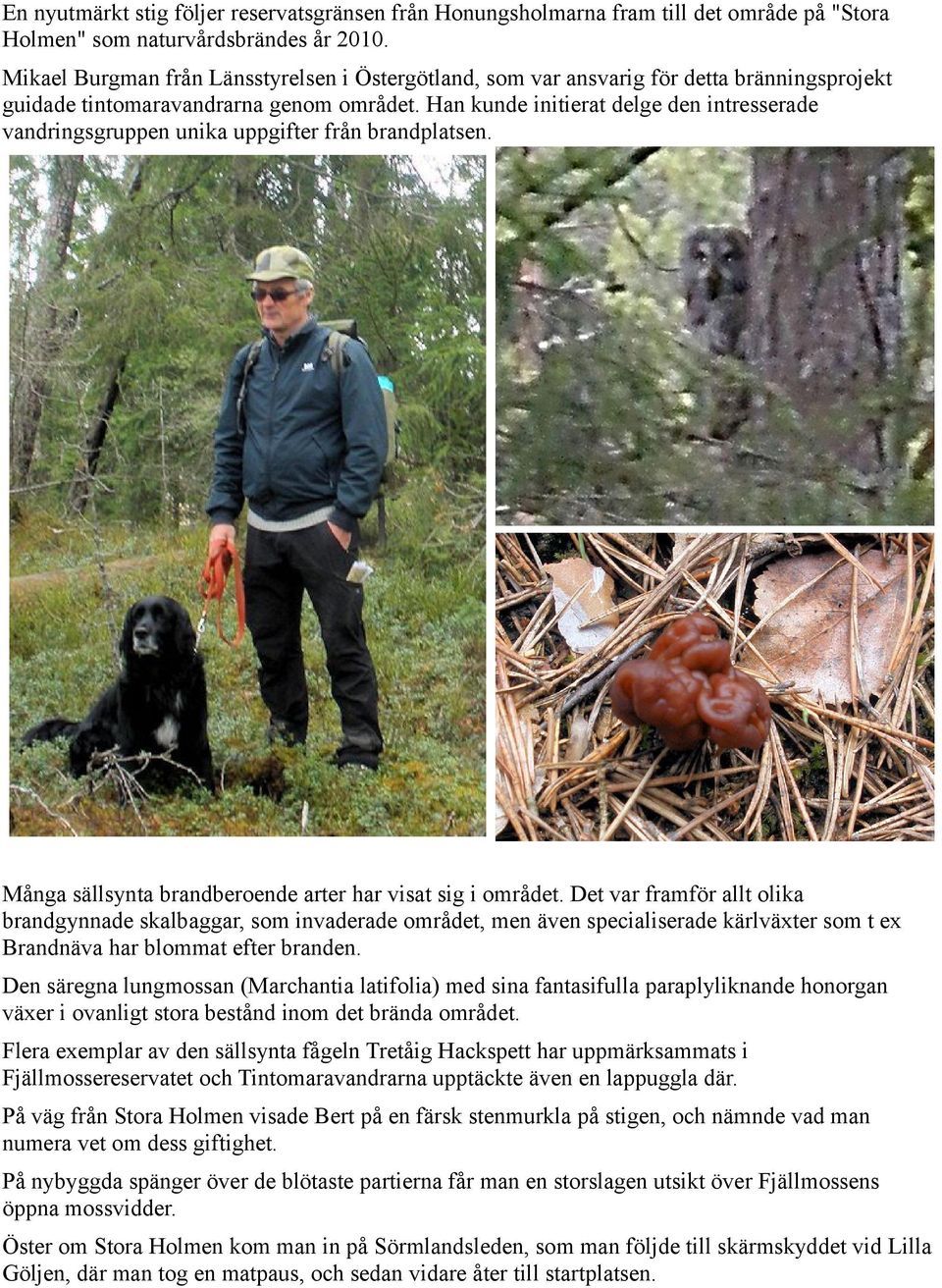 Han kunde initierat delge den intresserade vandringsgruppen unika uppgifter från brandplatsen. Många sällsynta brandberoende arter har visat sig i området.