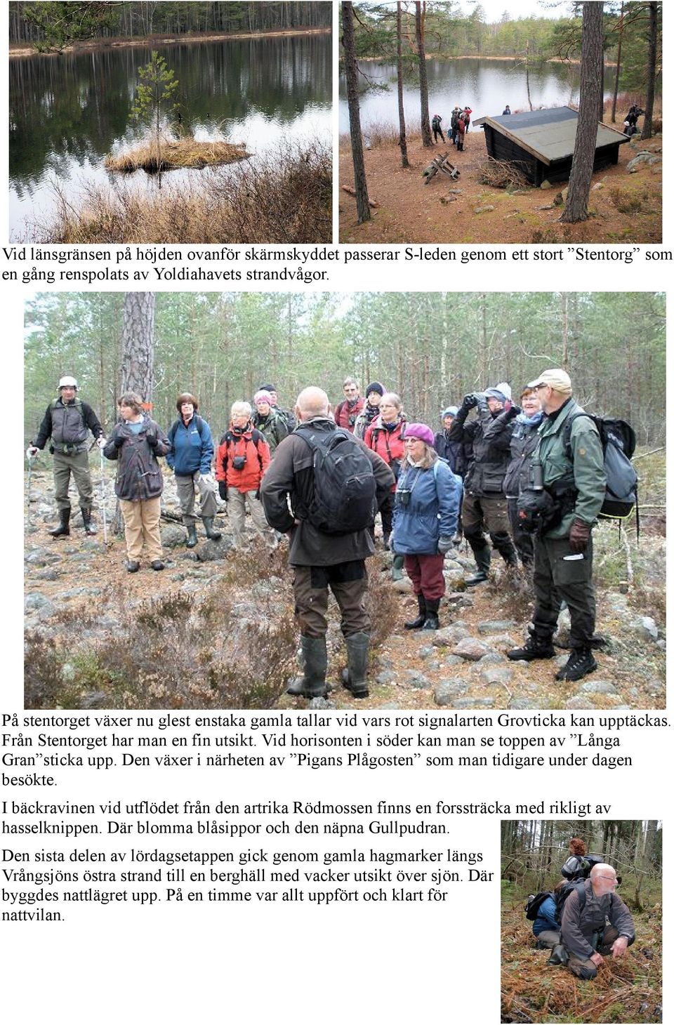 Vid horisonten i söder kan man se toppen av Långa Gran sticka upp. Den växer i närheten av Pigans Plågosten som man tidigare under dagen besökte.