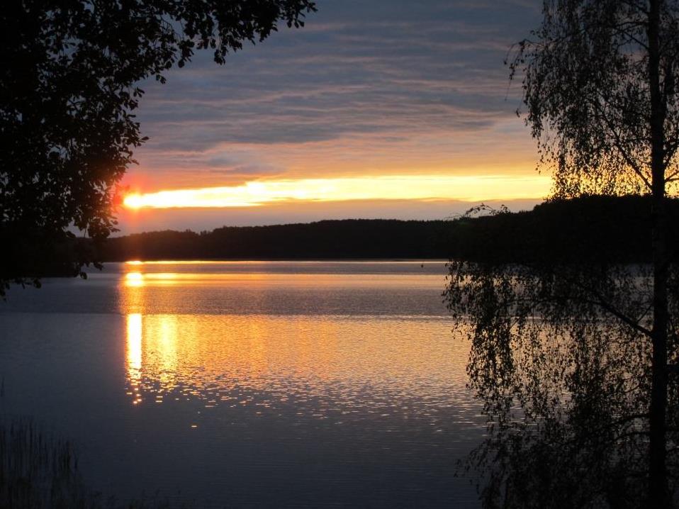 Utmaningar och vägval för det svenska elsystemet