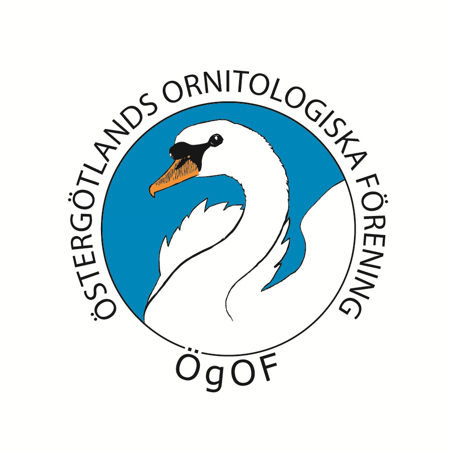 Kommunfåglar i Östergötland Kommunfåglar är ett samarbetsprojekt mellan Östergötlands ornitologiska förening och länets kommuner.