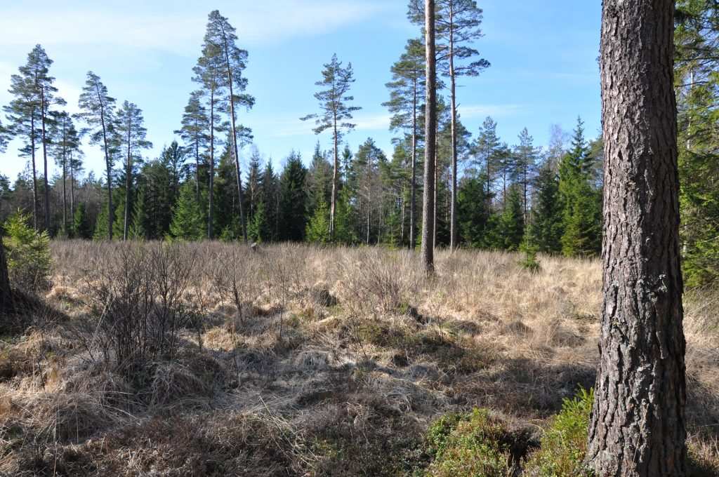 Halmstad Mjöalt 3:1 del av Skogsfastighet 51 ha Simlångsdalen Byggnadsfri skogsfastighet om ca 51 ha på avskilt läge i Mjöalt ca 20 km öst Halmstad.