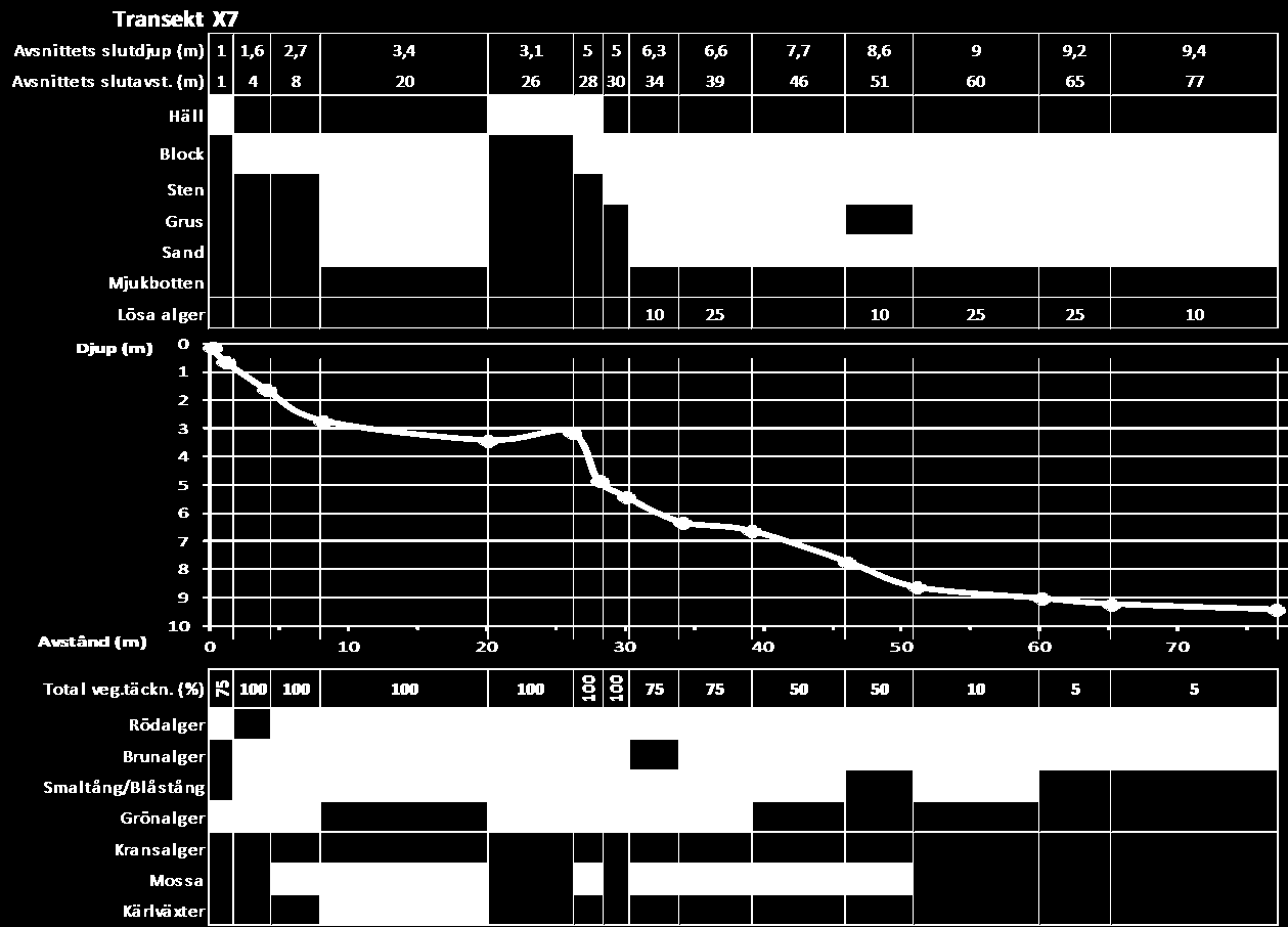 Transekt X7, Igghällan En relativt flack transekt som 77 m från stranden endast nådde 9,4 m djup.