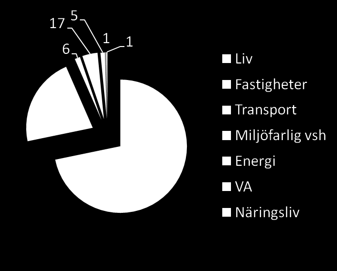 Summa: 457 Mkr Seminarium: