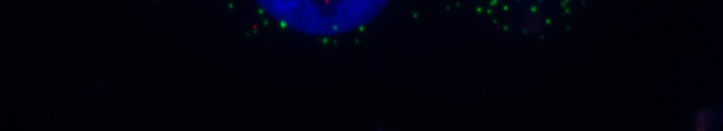 cells" av fd TBstudenten Amin Allalou m fl, Uppsala Universitet.