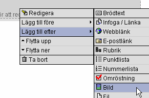 Bilden till sidan Nu ska bilden in på din sida! Gå tillbaka till fliken <Webbsidor>. Klicka på <Redigera> Ställ pekaren i brödtextfältet och högerklicka.