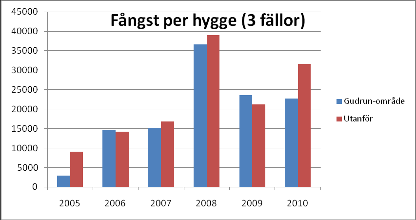 1995-2010 har fångsterna av granbarkborre har varierat från något eller några 1000 baggar till 40 000 50000 baggar (Figur 1).